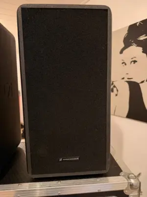 Sennheiser LSP 500 Pro Accu (б/у) — фото 4