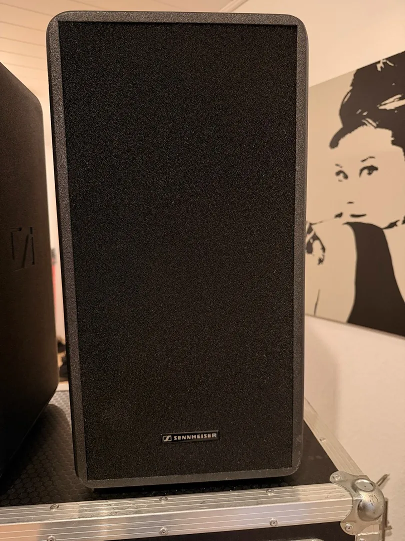 Sennheiser LSP 500 Pro Accu (б/у) — фото 4